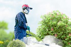 Обработка сада от паразитов - необходимые меры и их регулярность  в Мытищах