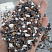 Kamenclub.ru: Мраморная крошка (щебень галтованный микс:белый-черный-розовый-медовый) фр.5-10 мм.  купить в Мытищах мрамор белый, медовый, черный, розовый мраморный галтованный щебень декоративный ландшафтный 15500 руб/т   фото КАМЕНЬ КЛУБ