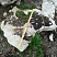 Kamenclub.ru: Выветренный известняк (степной) фр. 500-1500 мм.  купить в Мытищах    10000 руб/т   фото КАМЕНЬ КЛУБ
